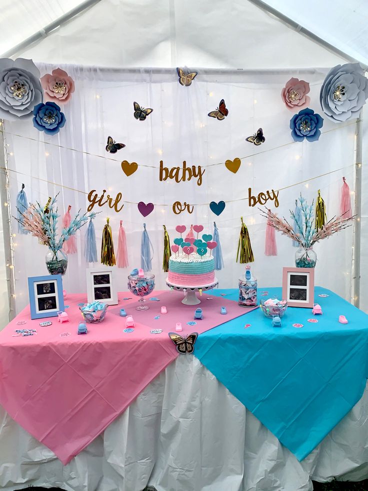 Gender Reveal Shooters, Male Gender Reveal Outfit, Gender Reveal Ideas For Party Outside, Theme For Gender Reveal, Gender Reveal Decoration Ideas For Party, Gender Reveal Ideas For Decoration, Decoration For Gender Reveal Party, Gender Reveal Main Table Ideas, Decor For Gender Reveal Party