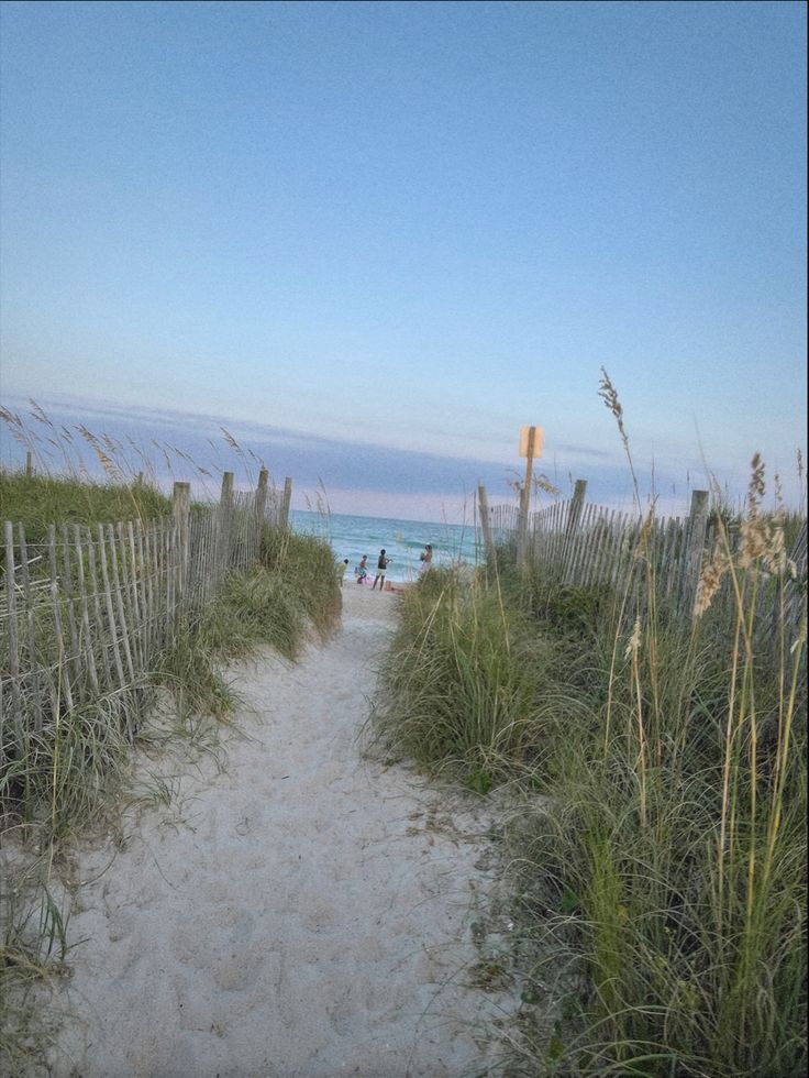 the path to the beach is lined with tall grass and sea oats on either side