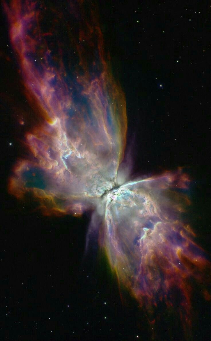 a butterfly shaped object in the middle of space