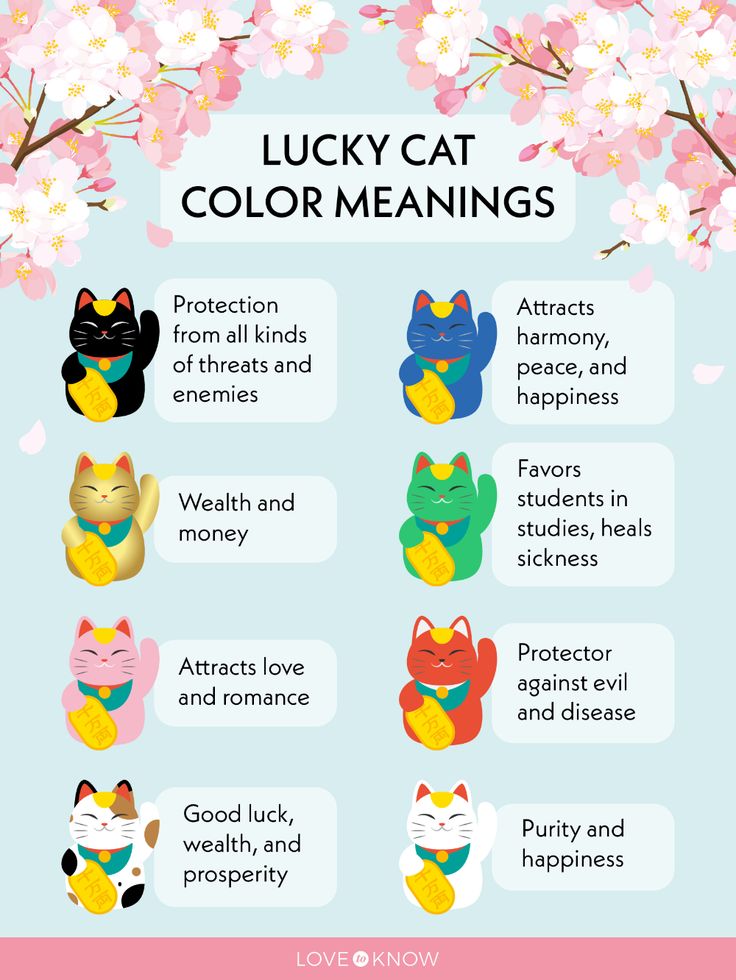 the lucky cat color meaningss for each zodiac sign, which includes cats and flowers