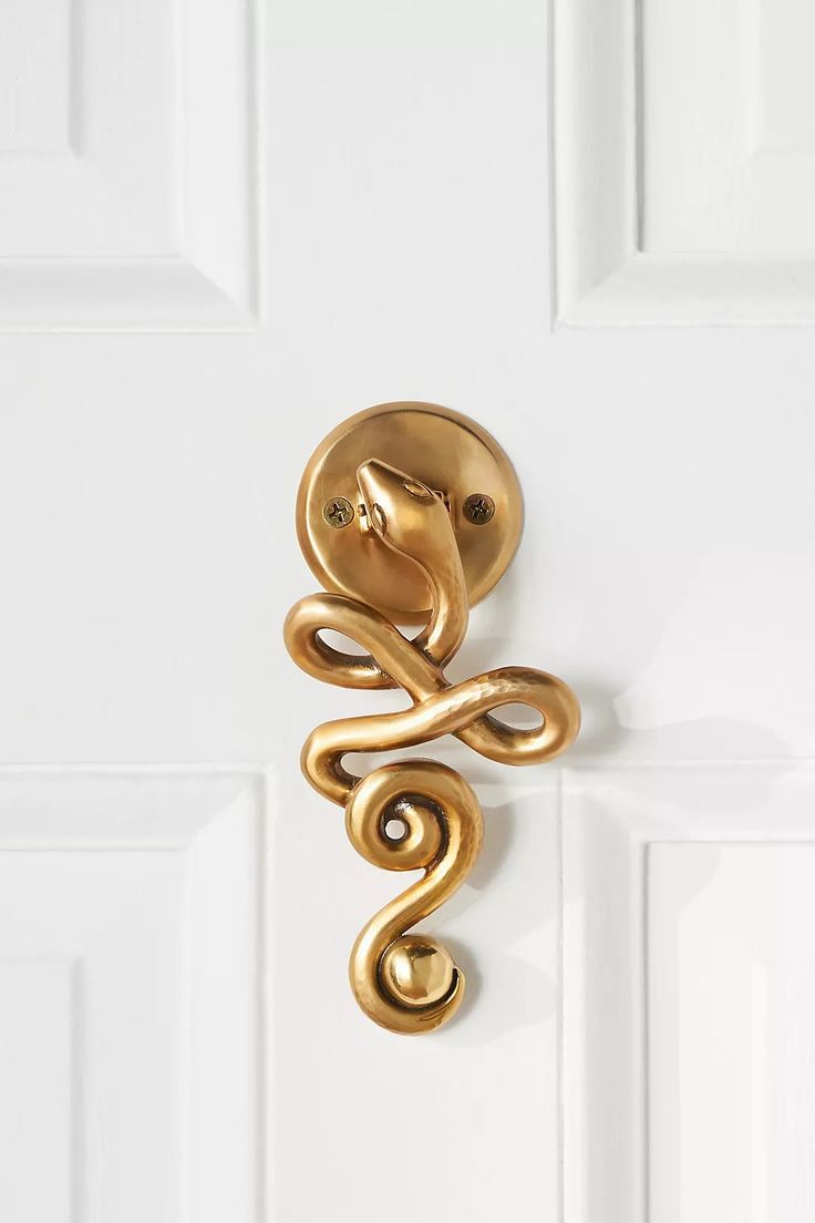 a door handle with a snake on it's side and a white door behind it