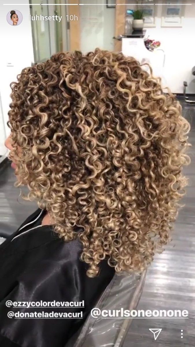 Natural Curls Color Ideas, Summer Golden Brown Hair, Blonde Highlights On Blonde Hair Curly, Blonde Highlighted Curly Hair, Bayalage Curly Hair, Curly Highlights Blonde, Blonde Highlights Curly Hair Natural Curls, Blonde Highlights Natural Hair, Blonde Highlights On Curly Hair