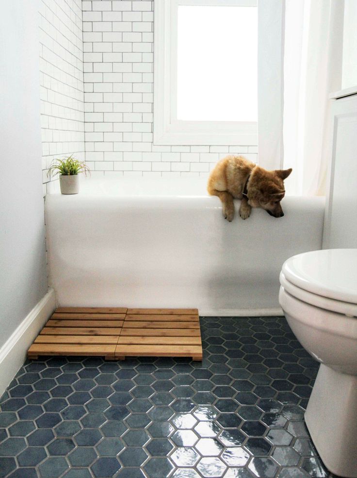 a cat sitting on the edge of a bathtub in a bathroom with blue tiles