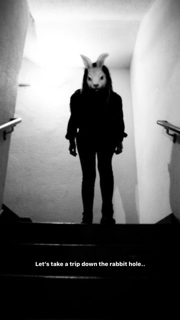 a person with a bunny mask on walking down some stairs in a dark room and the caption says let's take a trip down the rabbit hole