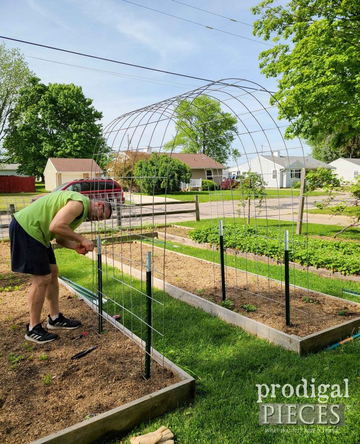 a man is tending to his garden in the yard