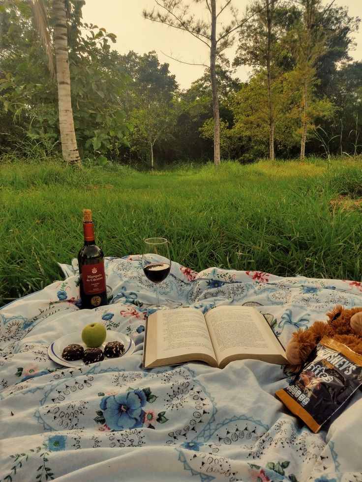 a teddy bear sitting on top of a blanket next to an open book and wine bottle