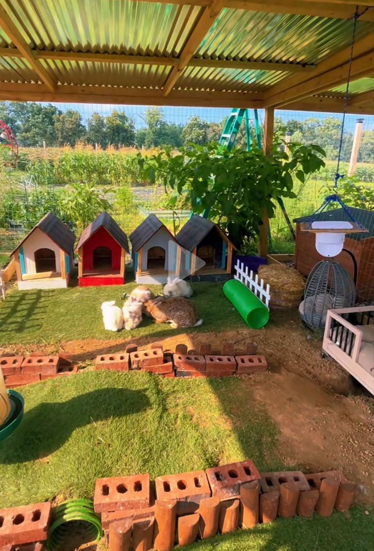 there are many dog houses in the yard