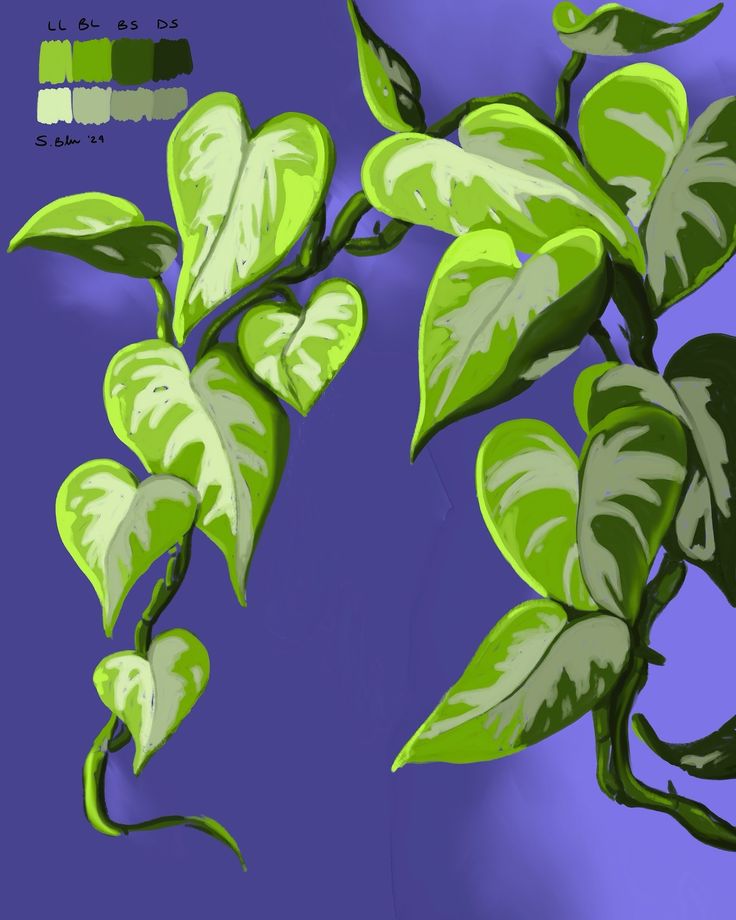 a green plant with lots of leaves in front of a blue background and color swatches