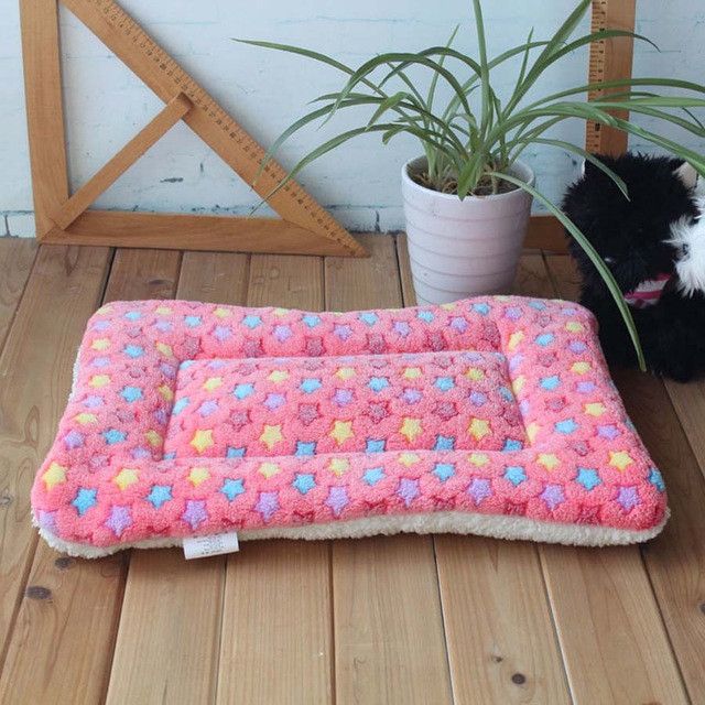 a dog bed on the floor next to a potted plant