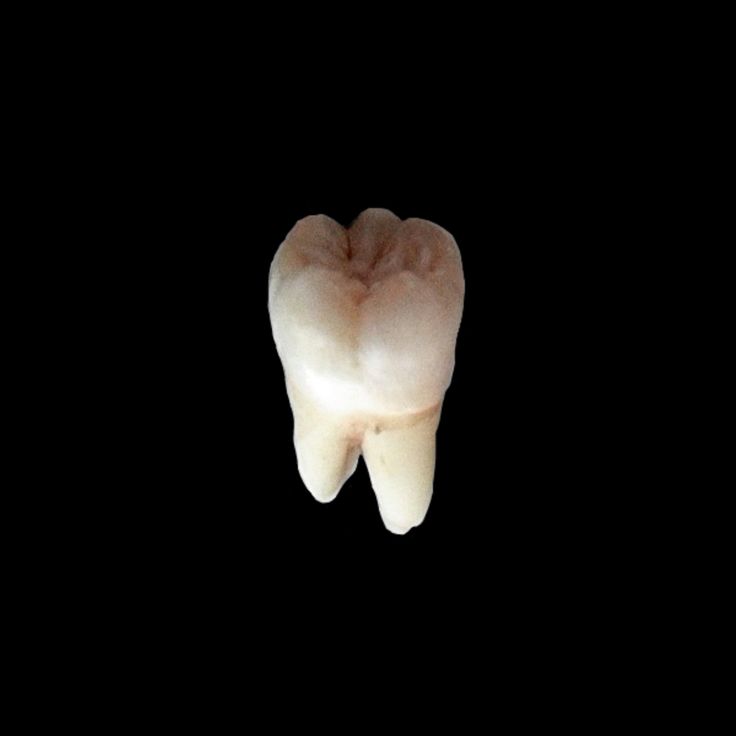 a tooth is shown in the dark with only one missing it's front end