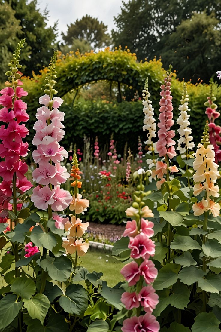 many pink and white flowers in a garden