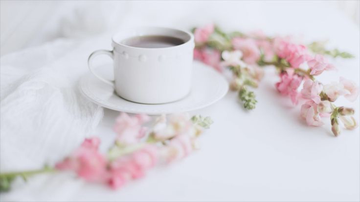 Miss Tea Positive | Wellness + Self-Care + Personal Growth