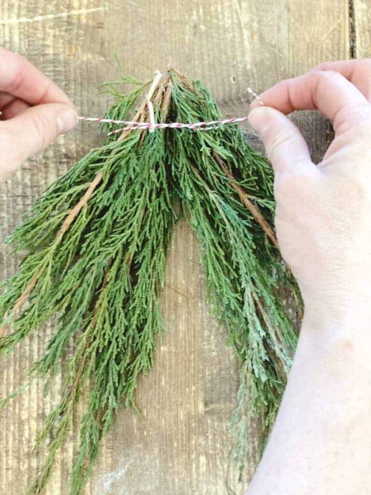 two hands are holding some green plants on a wooden table with string attached to it