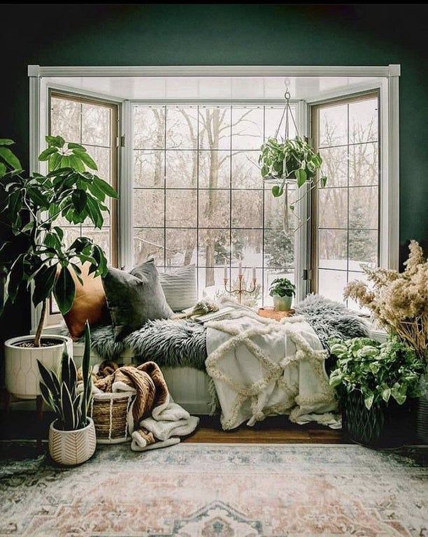 a bedroom with green walls and lots of plants in the window sill, along with a rug on the floor