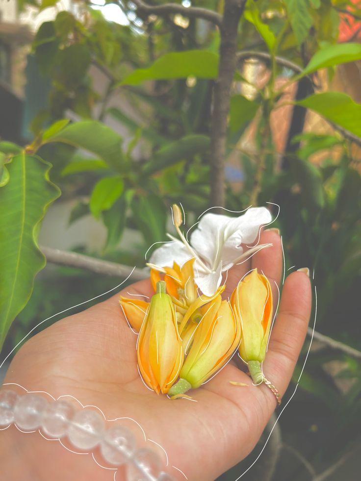 a person holding some flowers in their hand