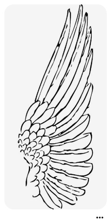 a drawing of a bird with large wings