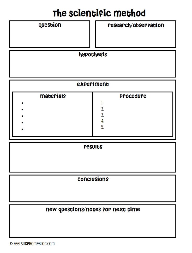 the scientific method worksheet for students to practice their writing skills and use it as an