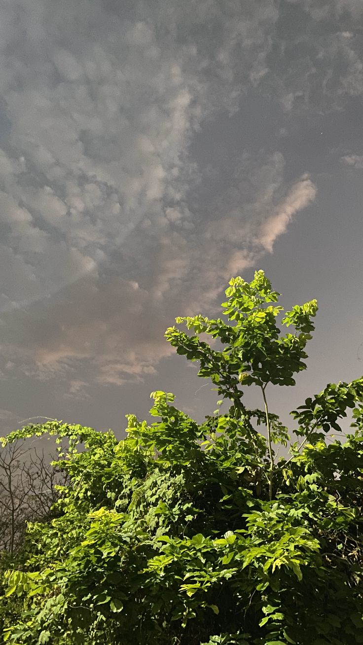 the sky is filled with clouds and trees