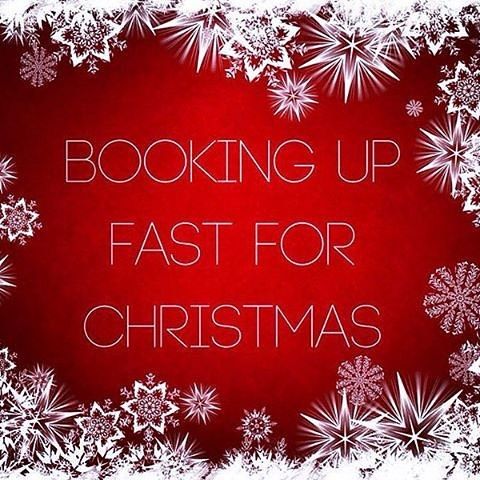 Have you booked yet? Appointments filling up fast Hair Appointment Quotes, Nail Technician Quotes, Christmas Salon, The Meaning Of Christmas, Hair Salon Quotes, Salon Promotions, Massage Marketing, Skin Center, Hairstylist Quotes