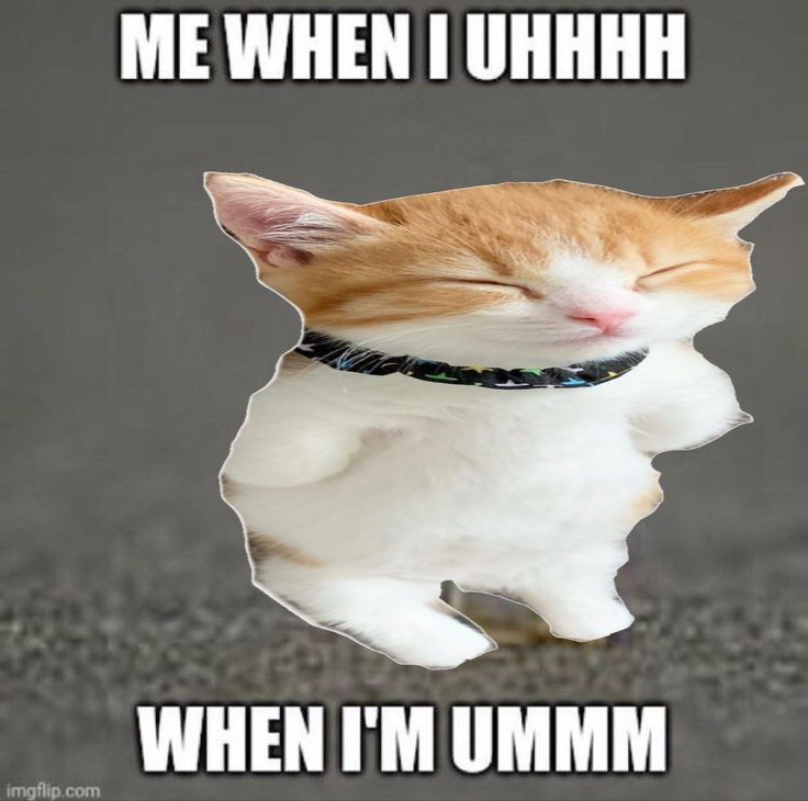 an orange and white cat with its eyes closed sleeping on the ground, captioning me when i uhh when im umm