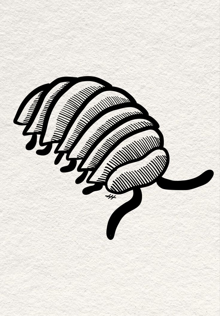 Pill bug tattoo stencil Isopods Art, Simple Cicada Drawing, Pill Bug Art, Pillbug Drawing, Bug Lino Print, Bug Drawings Simple, Roly Poly Drawing, Pill Bug Drawing, Small Bug Tattoo Ideas