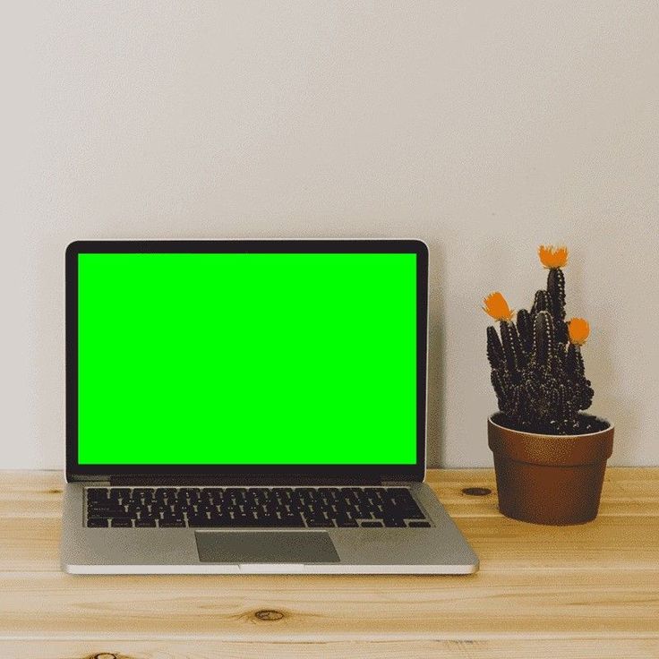 an open laptop computer sitting on top of a wooden desk next to a potted plant