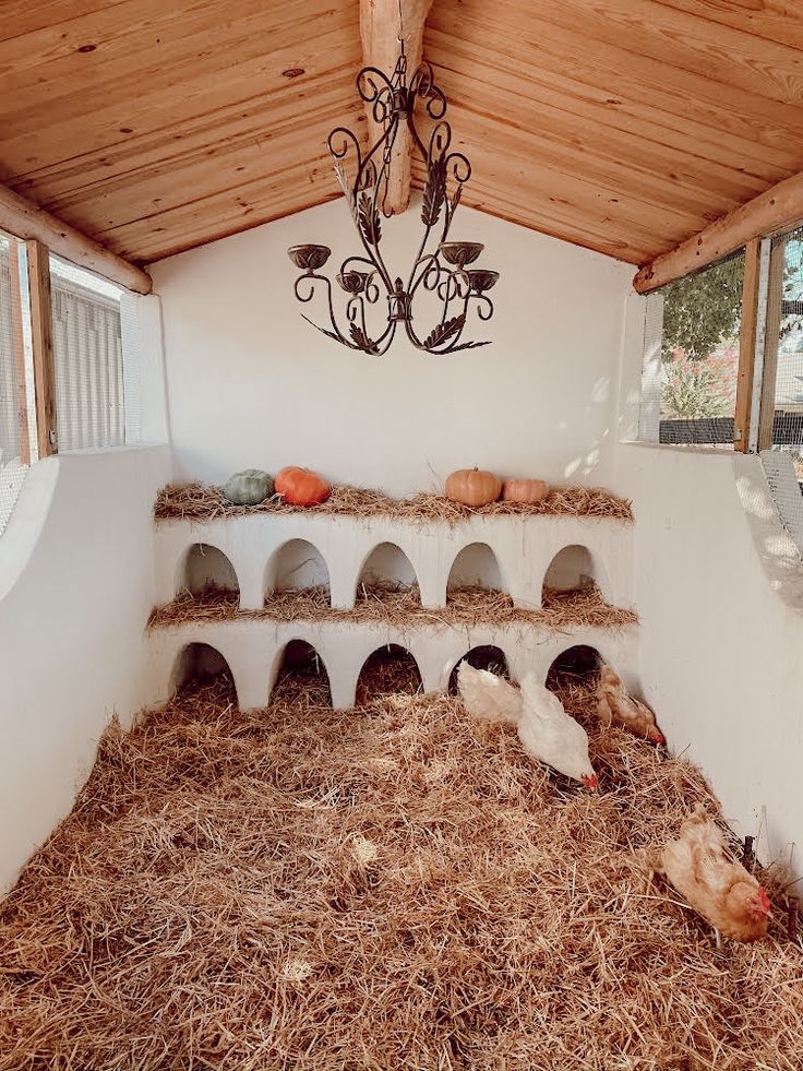 several chickens are laying in hay under a chandelier