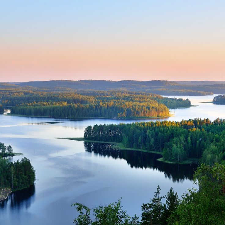 a lake surrounded by trees in the middle of a lush green forest covered hillside at sunset