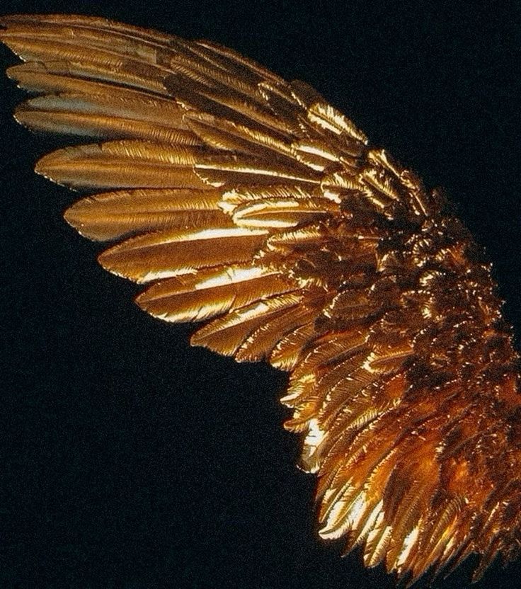 the wing of a gold colored bird is shining in the dark night sky with its wings spread out