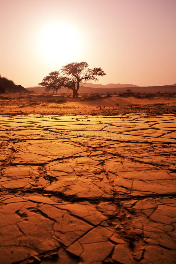 the sun is setting over an arid area with trees in the distance and cracked ground