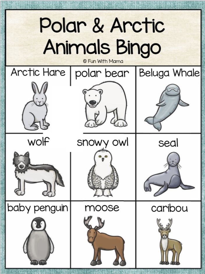 the polar and arctic animals bingo game