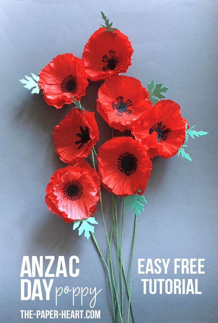 some red flowers on a gray background with the words anzac day poppy written below it