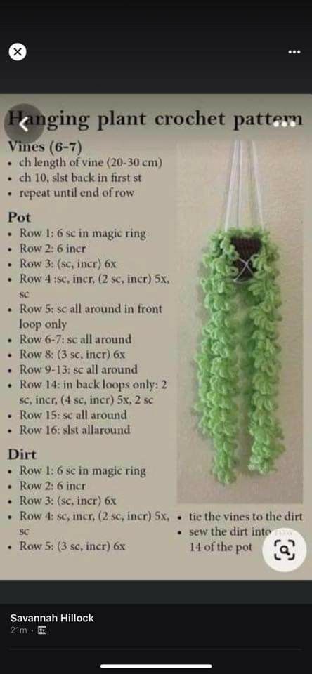 a crochet pattern for a plant hanging from a hook with instructions on how to make it