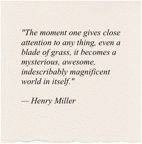 a quote from henry miller about the moment one gives close attention to any thing, even a blade of grass, it becomes a mysterious