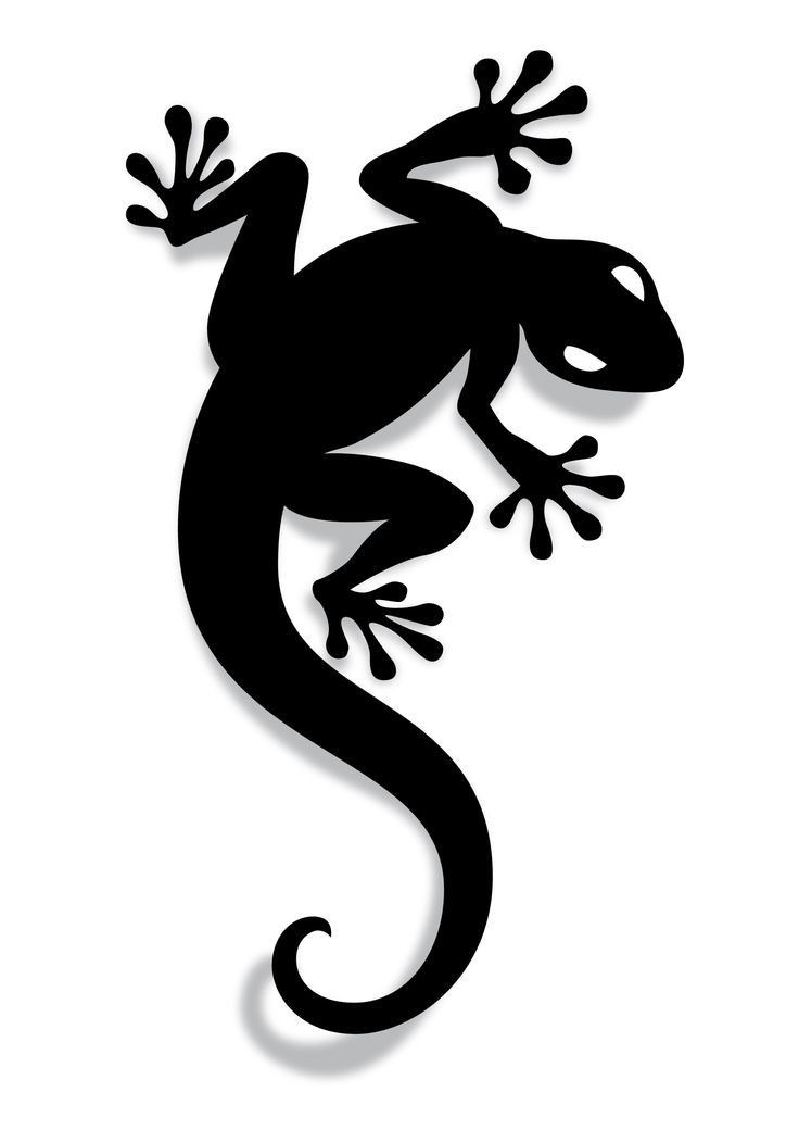 a black and white silhouette of a gecko on a white background with the shadow of it's legs