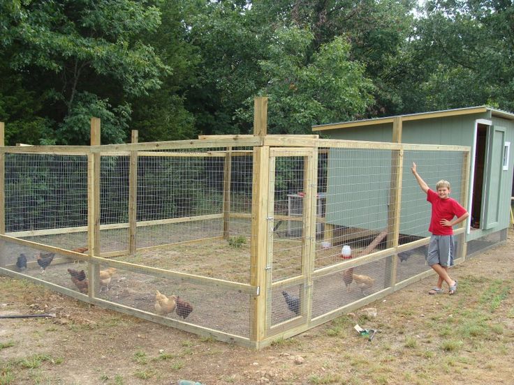 a man standing in front of a chicken coop