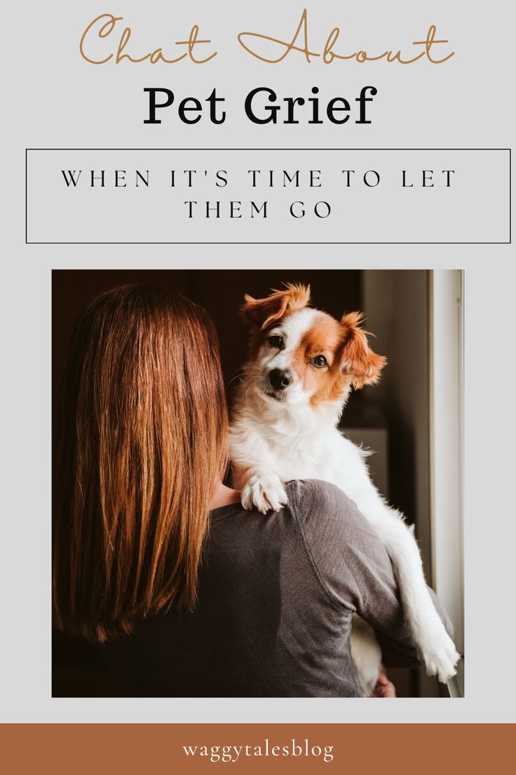 a woman hugging her dog with the words, when it's time to let them go