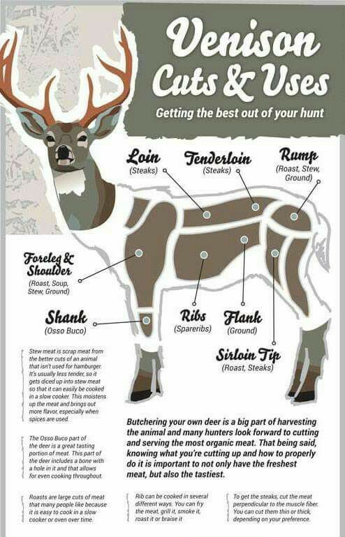 deer cuts and uses poster with information about the different types of animals that can be seen here