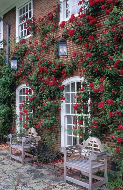 two wooden benches sitting in front of a brick building with red flowers on the wall