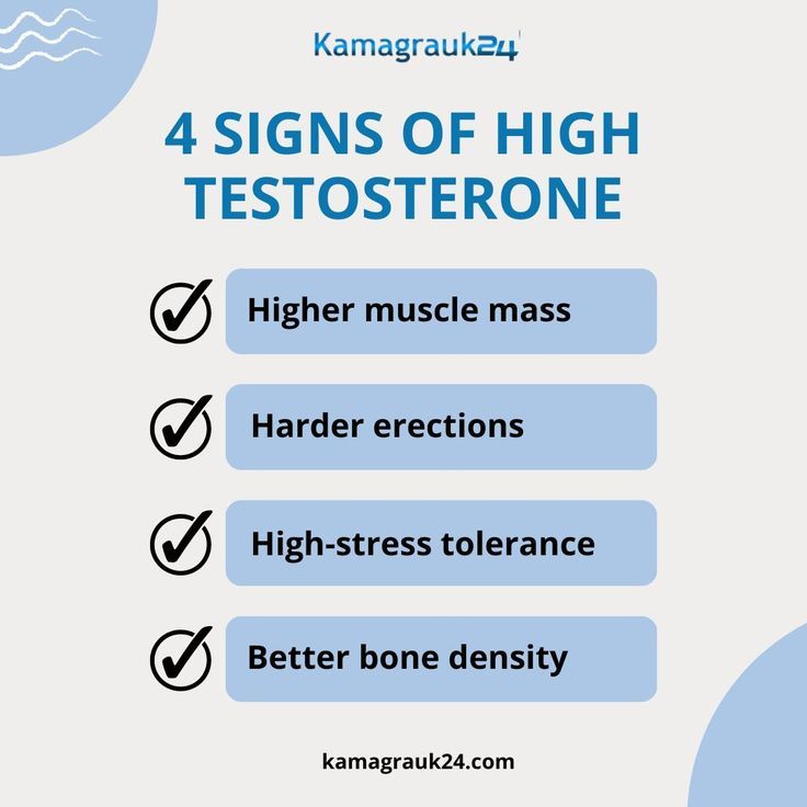 4 Signs of high testosterone High Testosterone, Men Cave, Divine Masculine, Staying Focused, Building Muscle, Testosterone Levels, Bone Density, Live Your Best Life, Mood Swings