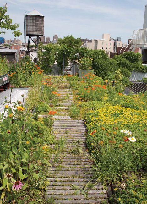 a wooden walkway surrounded by plants and flowers in front of a cityscape with water tower