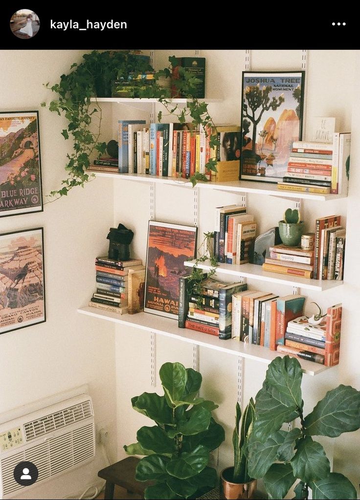 there are many books and plants on the shelves in this room, including one that is filled with books