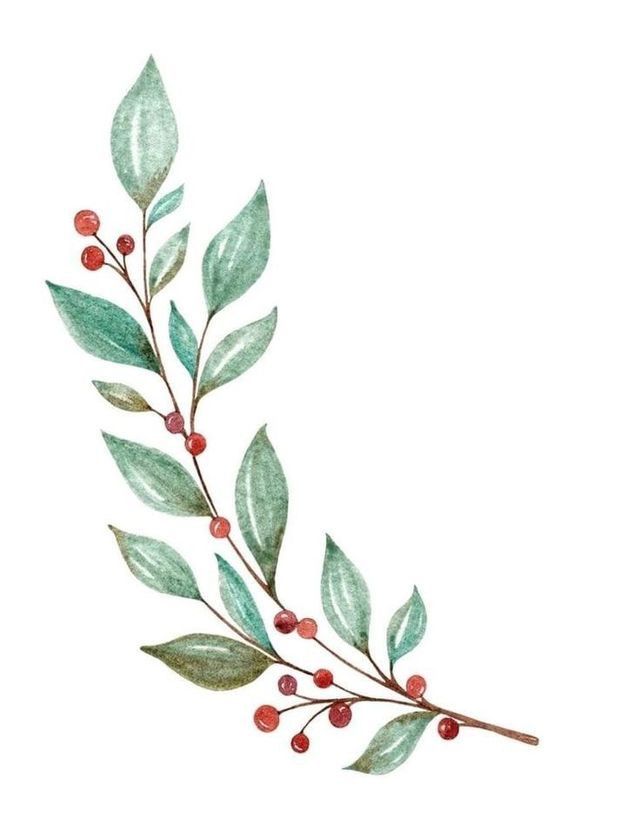 a watercolor painting of leaves and berries