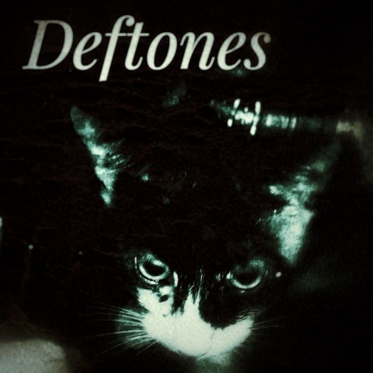 a black and white cat with the words deftones on it