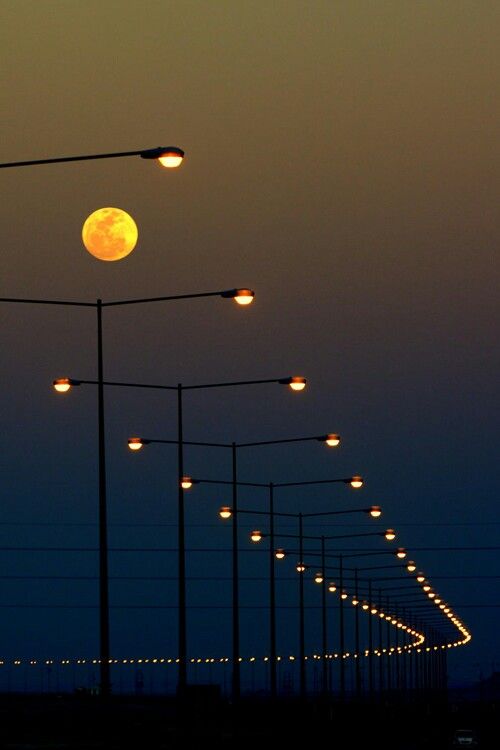 the full moon is seen through some street lights in black and white, as well as many street lamps