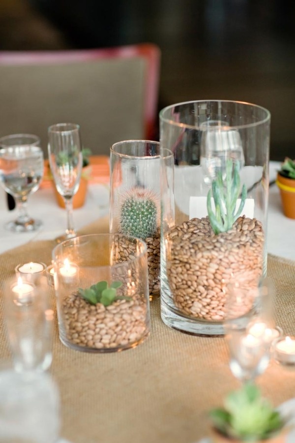 three glass vases filled with plants on top of a table