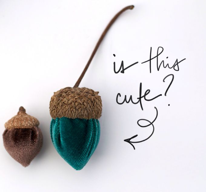 two knitted acorns with the words is this cute? written on them