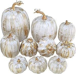 twelve white pumpkins are arranged in a row on a white background with gold foiling