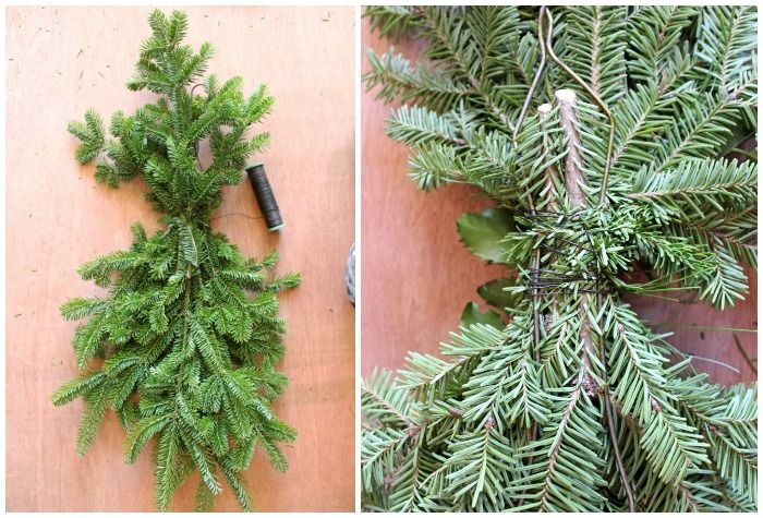 two pictures showing different types of pine needles