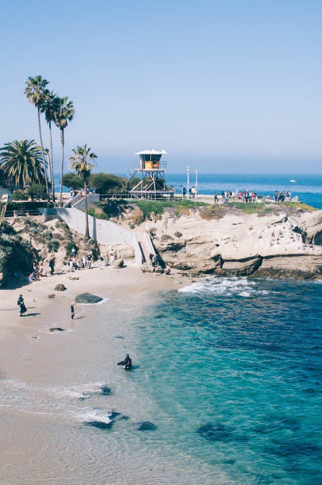 people are walking on the beach next to the water and palm trees in the background